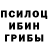 Псилоцибиновые грибы Psilocybine cubensis Aniket Halder