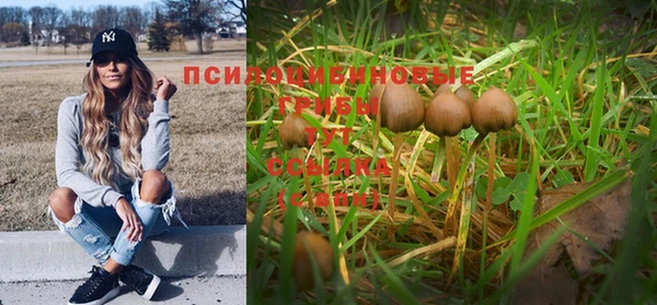 синтетический гашиш Армянск