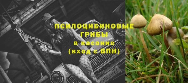 2c-b Аркадак