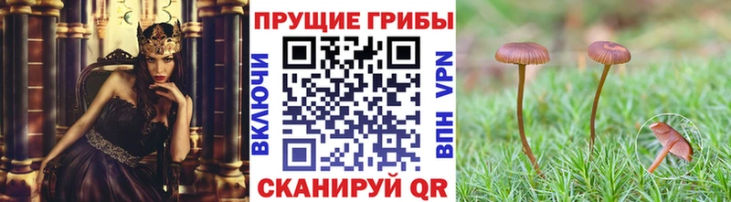 Галлюциногенные грибы мухоморы  наркота  Скопин 